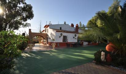 Sale - Villa - Fortuna