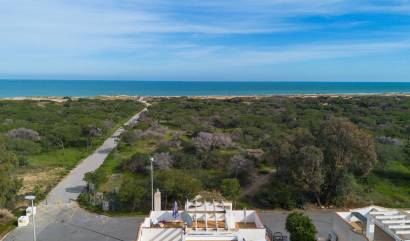 Sale - Villa - Guardamar del Segura - Urbanizaciones