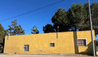 Sale - Villa - Guardamar del Segura