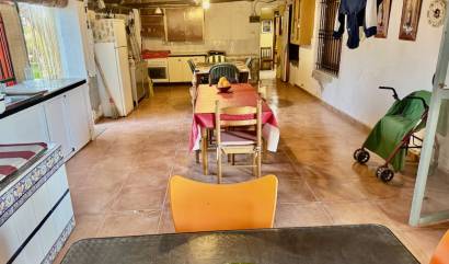 Sale - Villa - Guardamar del Segura