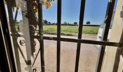 Sale - Villa - Guardamar del Segura