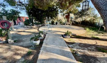 Sale - Villa - Guardamar del Segura