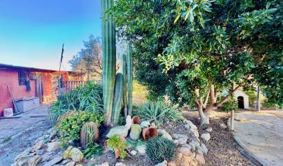 Sale - Villa - Guardamar del Segura