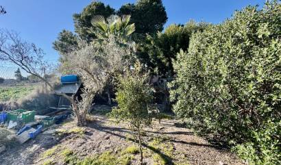 Sale - Villa - Guardamar del Segura