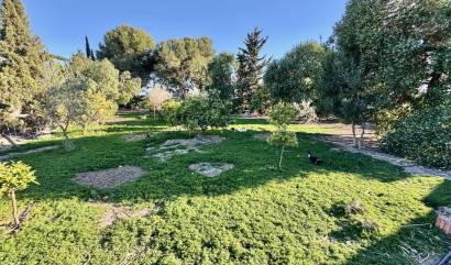 Sale - Villa - Guardamar del Segura