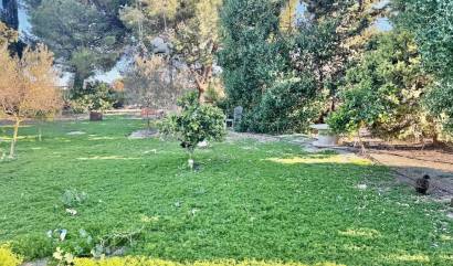 Sale - Villa - Guardamar del Segura