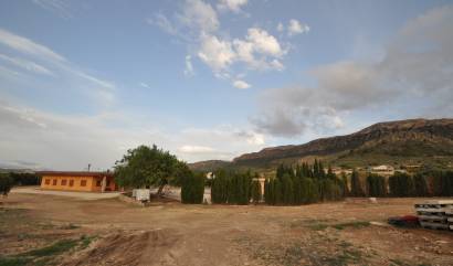 Sale - Villa - Jumilla