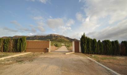 Sale - Villa - Jumilla