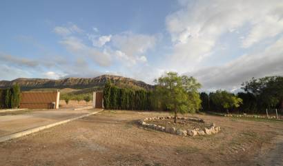 Sale - Villa - Jumilla