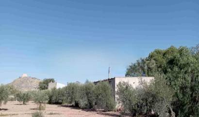 Sale - Villa - Jumilla