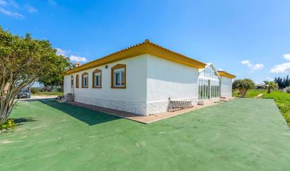 Sale - Villa - Los Montesinos