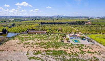 Sale - Villa - Los Montesinos