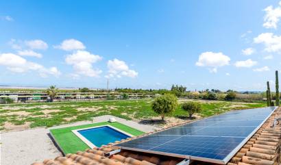 Sale - Villa - Los Montesinos