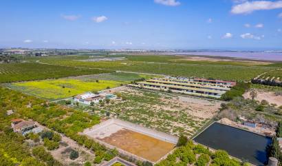 Sale - Villa - Los Montesinos