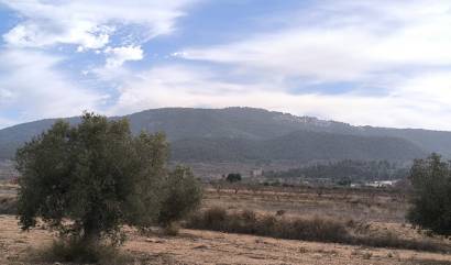 Sale - Villa - Monovar