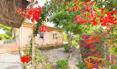 Sale - Villa - Pinar de Campoverde