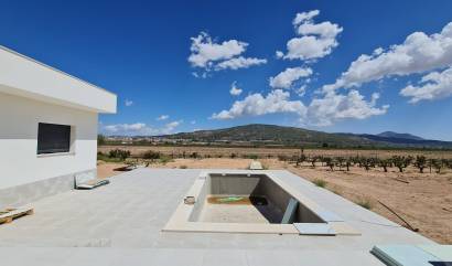 Sale - Villa - Pinoso