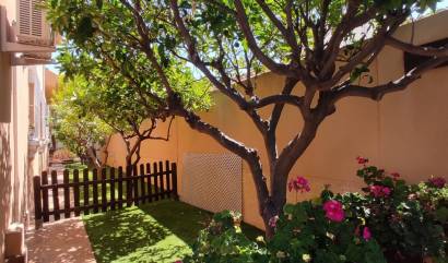 Sale - Villa - San Pedro del Pinatar - San Pedro de Pinatar