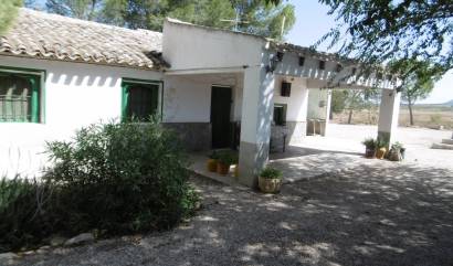 Sale - Villa - Yecla