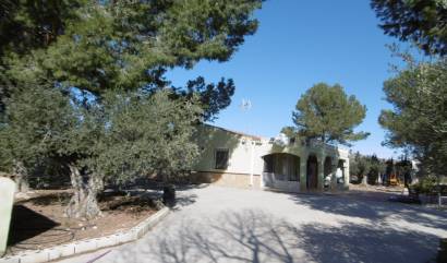 Sale - Villa - Yecla