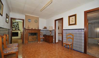 Sale - Village house - Pinoso