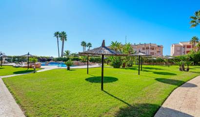 Venta - Apartment - Cabo Roig