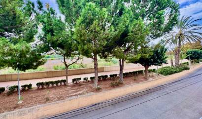 Venta - Apartment - Formentera del Segura