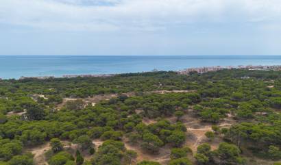 Venta - Apartment - Guardamar del Segura - CENTRO