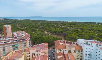 Venta - Apartment - Guardamar del Segura - CENTRO