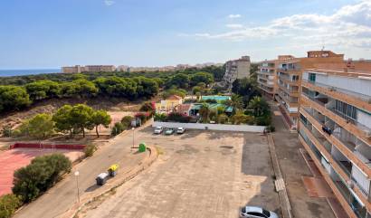 Venta - Apartment - Guardamar del Segura - Lomas de Polo-Pinomar