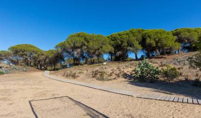 Venta - Apartment - Guardamar del Segura - Urb. pinomar