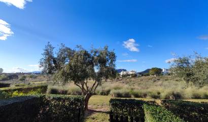 Venta - Apartment - Hacienda Riquelme Golf Resort