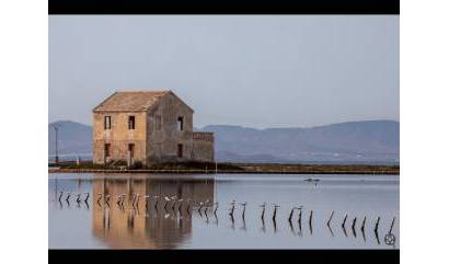 Venta - Apartment - Lo Pagan