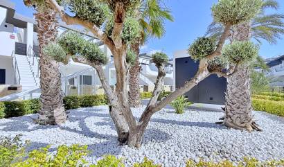 Venta - Apartment - Orihuela Costa - Punta Prima
