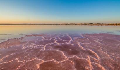 Venta - Apartment - Torrevieja - La Mata