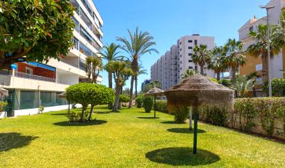 Venta - Apartment - Torrevieja - Rocio del mar