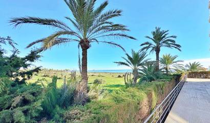 Venta - Apartment - Torrevieja - Rocio del mar