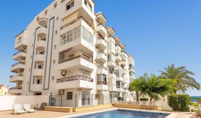Venta - Apartment - Torrevieja - Torreblanca