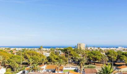 Venta - Apartment - Torrevieja