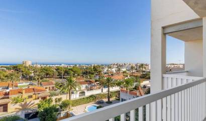 Venta - Apartment - Torrevieja