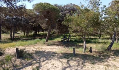 Venta - Bungalow - Guardamar del Segura - Urbanizaciones