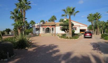 Venta - Country House - Daya Vieja