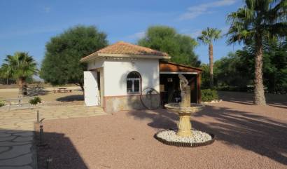 Venta - Country House - Daya Vieja