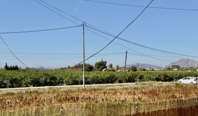 Venta - Country House - Dolores - Comunidad Valenciana