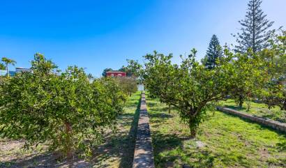 Venta - Country House - Los Montesinos