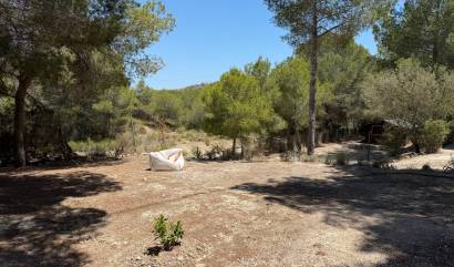 Venta - Country House - Orihuela - Torremendo