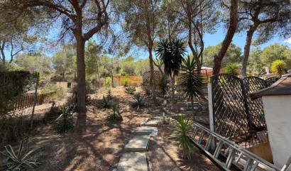Venta - Country House - Orihuela - Torremendo