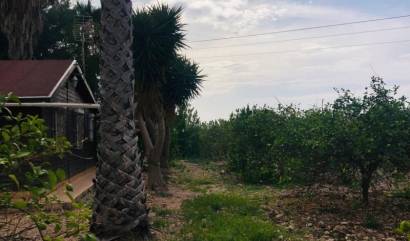 Venta - Country House - Orihuela