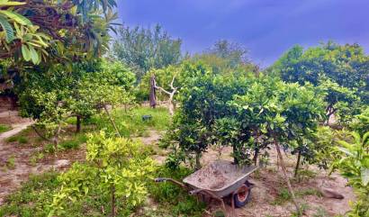 Venta - Country House - Rojales - Ciudad Quesada