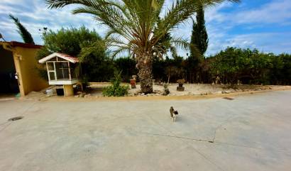 Venta - Country House - San Fulgencio - La Marina